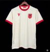 26/27 Albania Away Football Shirt