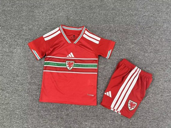 26/27 Wales Home Football Shirt Kids Size Suit
