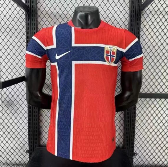 26/27 Player Version Norway National Team Away Football Shirt