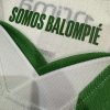 26/27 Player Version Real Betis Home Football Shirt