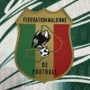 26/27 Player Version Mali White Eagle Football Shirt