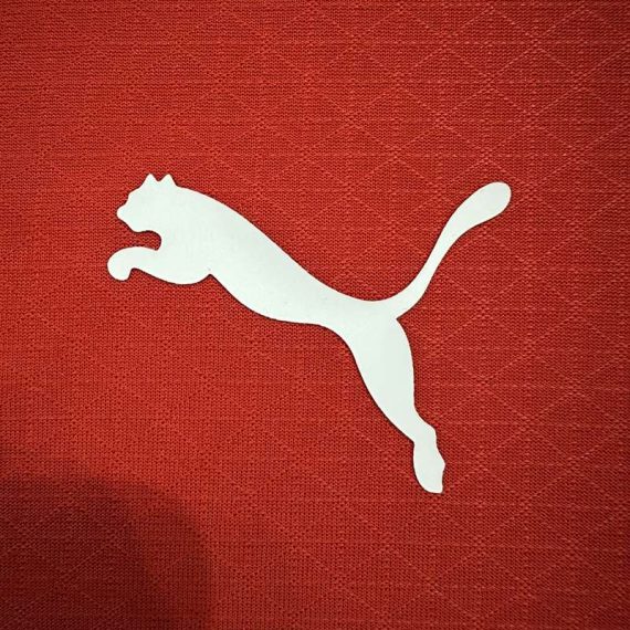 26/27 Player Version Austria Home Football Shirt
